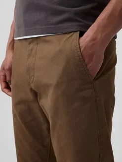 Chinobroek bruin
