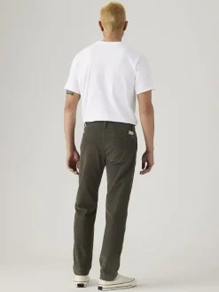 Chinobroek bruin