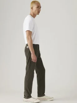 Chinobroek bruin