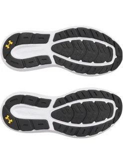 Hardloopschoenen grijs