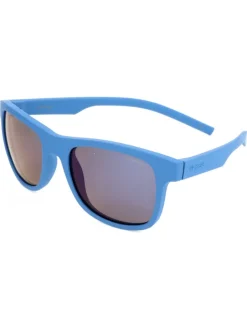 Herenzonnebril blauw/bruin