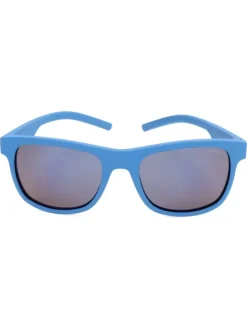 Herenzonnebril blauw/bruin