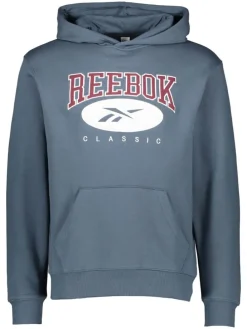 Hoodie ''CL AE'' i n blauwgrijs