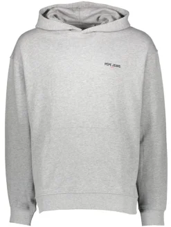 Hoodie grijs