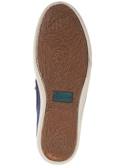 Instappers antraciet