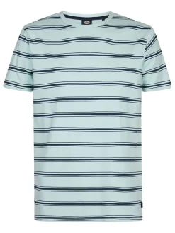 Shirt lichtblauw