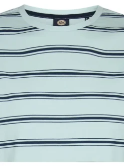 Shirt lichtblauw