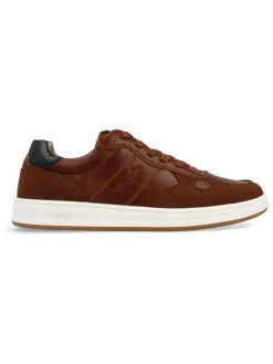 Sneakers bruin