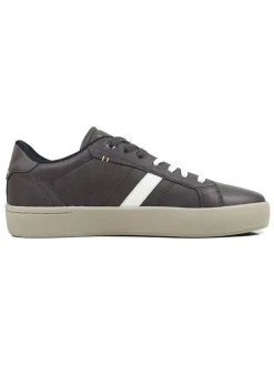 Sneakers bruin