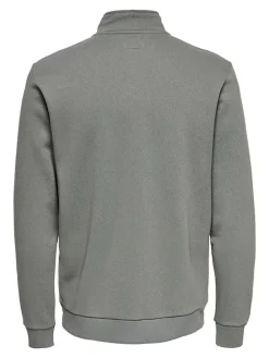 Sweatshirt "Ceres" grijs