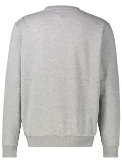 Sweatshirt grijs