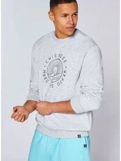 Sweatshirt grijs