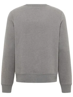 Sweatshirt grijs