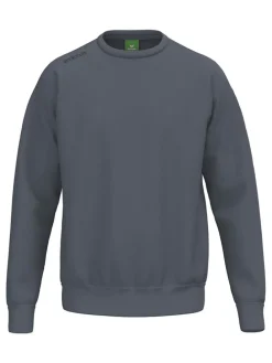 Sweatshirt grijs