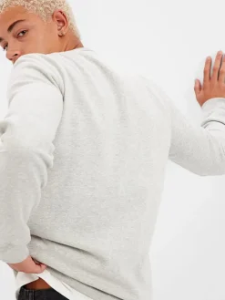 Sweatshirt lichtgrijs
