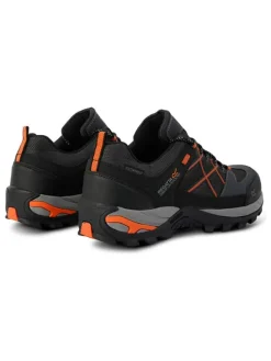 Wandelboots ''Samaris III'' antraciet